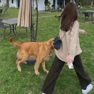 梦女孩